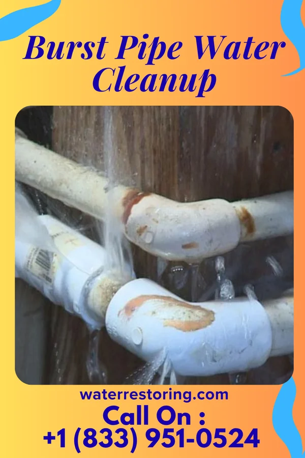 Burst Pipe Water Cleanup in Manchester, KS