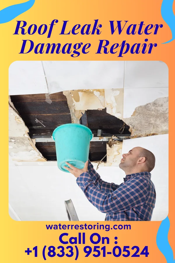Roof Leak Water Damage Repair in Manchester, KS